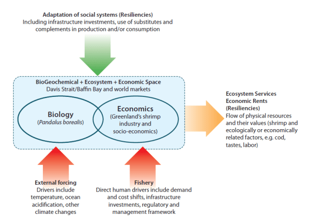 conceptual_model_GL_shrimp