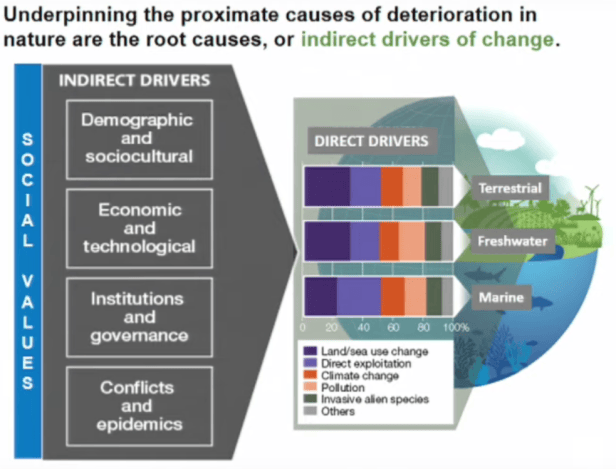 Extinction Crisis Gets a Worrisome Scientific Update – Mereconomics
